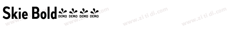 Skie Bold字体转换